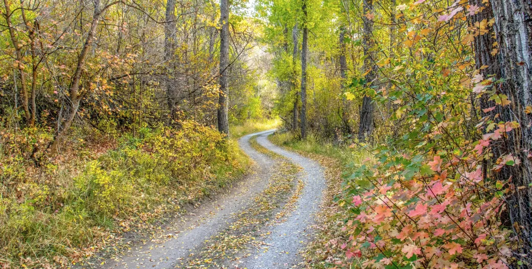 The Incubator Unbound: Storytelling